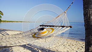 Empty hammock between palm trees on tropical beach by the sea