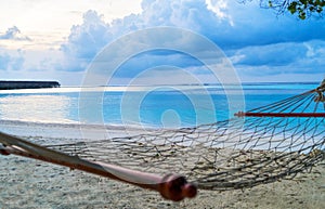 Empty hammock between palms trees at sandy beach