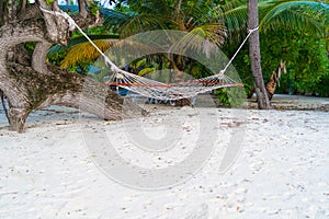 Empty hammock between palms trees at sandy beach