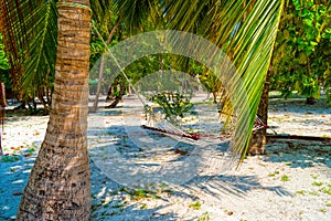 Empty hammock between palms trees at sandy beach