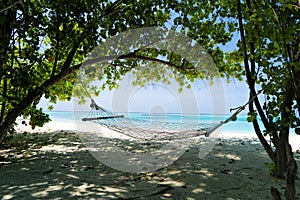 Empty hammock between palms trees at sandy beach