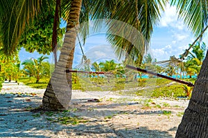 Empty hammock between palms trees at sandy beach