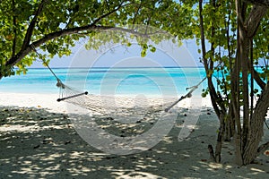 Empty hammock between palms trees at sandy beach