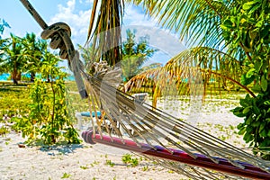 Empty hammock between palms trees at sandy beach