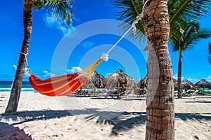 Empty hammock between palms on tropical beach