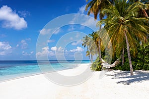 An empty hammock on a paradise beach on the Maldives