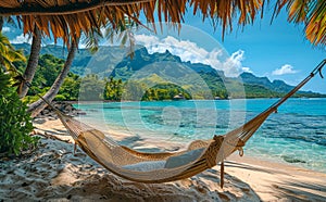 Empty hammock in the shade of palm trees on tropical beach