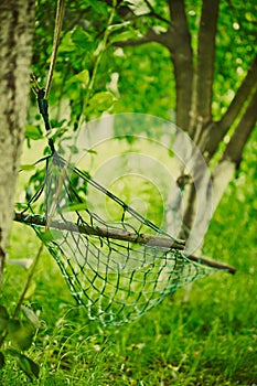 Empty hammock strung photo