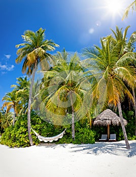 A empty hammock on a tropical beach with palm trees and fine sand on the Maldives