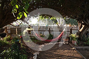 Empty hammock under shady trees in garden