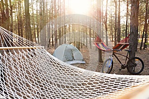 Empty hammocks, camping tent and bicycle in forest on summer day