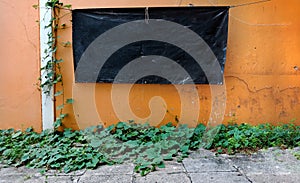 Empty Hanging black banner on wall and green leaf