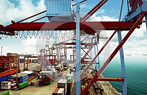 Empty harbor with container and crane background