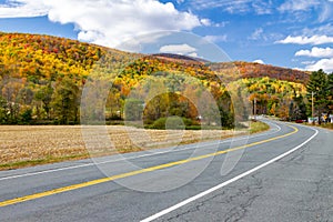 Empty highway road through colorful fall forest landscape