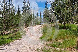 Empty hiking trail