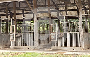 Empty Horse barn