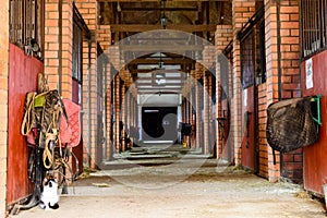 Empty horse stable