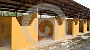Empty Individual Stalls Horse Stable photo