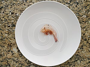 Empty intact shrimp shell