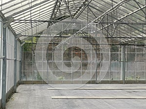 Empty interior of large commercial greenhouse with irrigation tubes hanging down