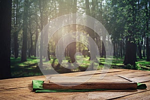 Empty kitchen board on wooden table on forest background