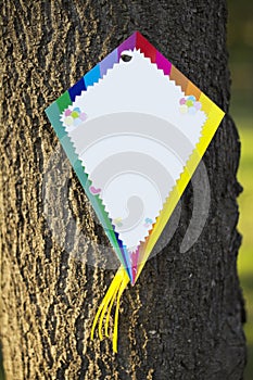 Empty kite on a tree