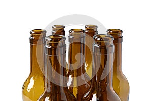 Empty lager beer bottles