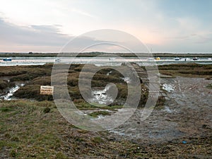 Empty landscape wooden path walkway west mersea pontoon jetty