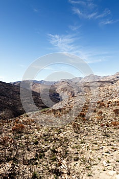 Empty but life - Swartberg Nature Reserve