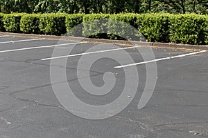 Empty lined asphalt parking lot bordered by bushes and trees