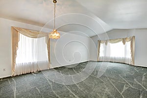 Empty living room with vaulted ceiling and green carpet floor