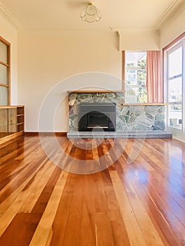 An Empty living and Sunny living room with fireplace. Vertical photo image.