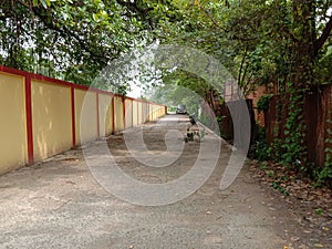 An empty loco yard without a single person in lock down