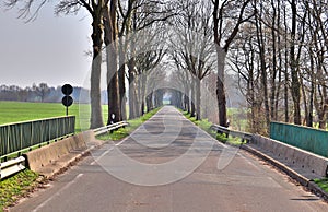 Empty and lonely country roads found in northern germany