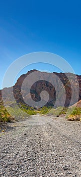 Empty long nevada mountain road to the horizon on a sunny summer day at bright sunset. vertical image for your reel and story