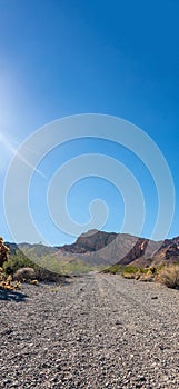 Empty long nevada mountain road to the horizon on a sunny summer day at bright sunset. vertical image for your reel and story