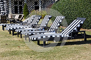 Empty lounge chairs at golf resort area background