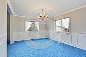 Empty luxury room interior with blue carpet floor and chandelier