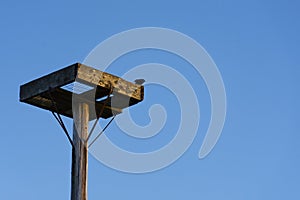 Empty Man Made Eagle Nest and Reg Wing Black Bird