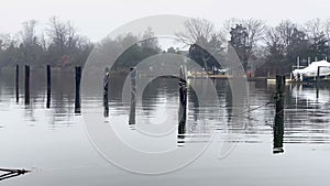 Empty Marina off a canal on a foggy January morning