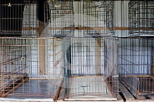 Empty metal cages in animal shelter