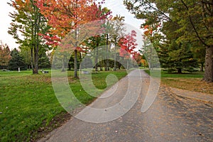 Empty Michigan State Park Autumn Campground