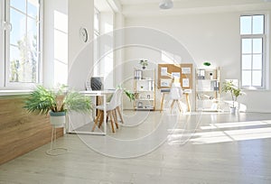 Empty modern clean spacious office room interior, desks, computers sunlight through windows