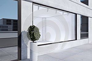 Empty modern storefront window with white mock up place for your advertisement and decorative plant. Display, boutique and retail