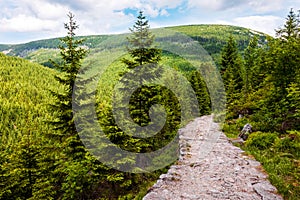 Empty mountain hiking trail