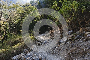 Empty mountain road in Himalaya, Rishikesh