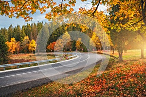 Empty mountain road, trees with red and orange foliage