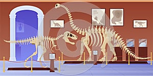 Empty museum of paleontology with dinosaurs skeletons vector flat cartoon illustration