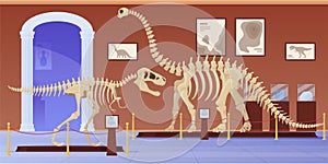 Empty museum of paleontology with dinosaurs skeletons vector flat cartoon illustration photo