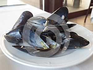 Empty mussel shells on a white plate
